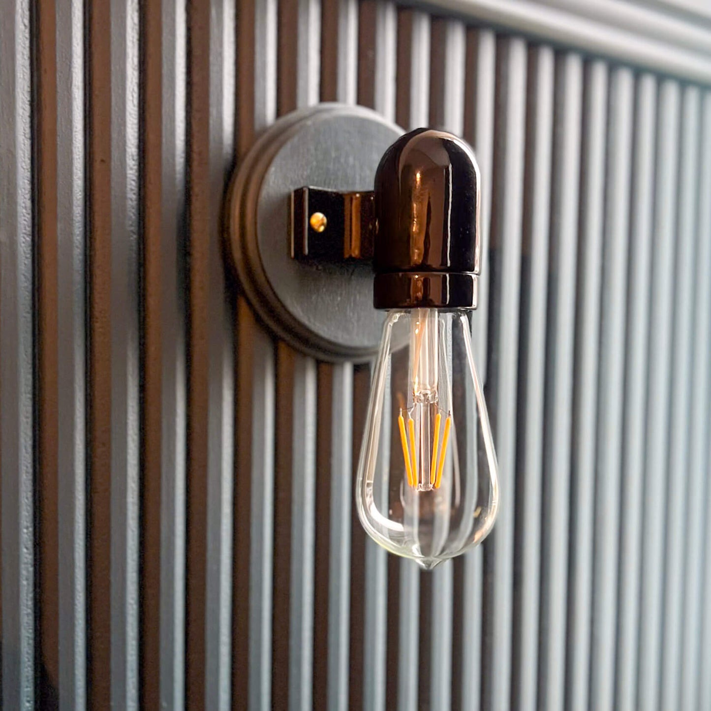 Wall Mounted Porcelain Light